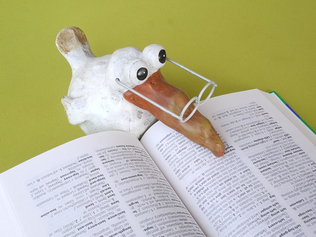 How to Really Learn a Foreign Language